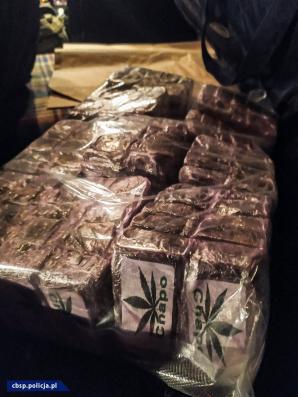 [VIDEO] CBŚP przejęło 150 kg haszyszu wartego 8 mln zł